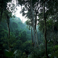 Photo de Bali - Balade, Garuda et spectacle